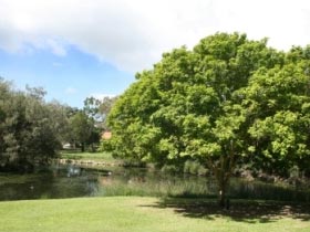 Hervey Bay Accommodation - Botanical Gardens